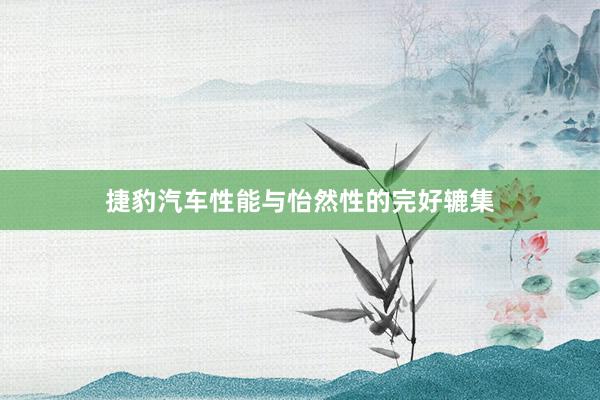 捷豹汽车性能与怡然性的完好辘集